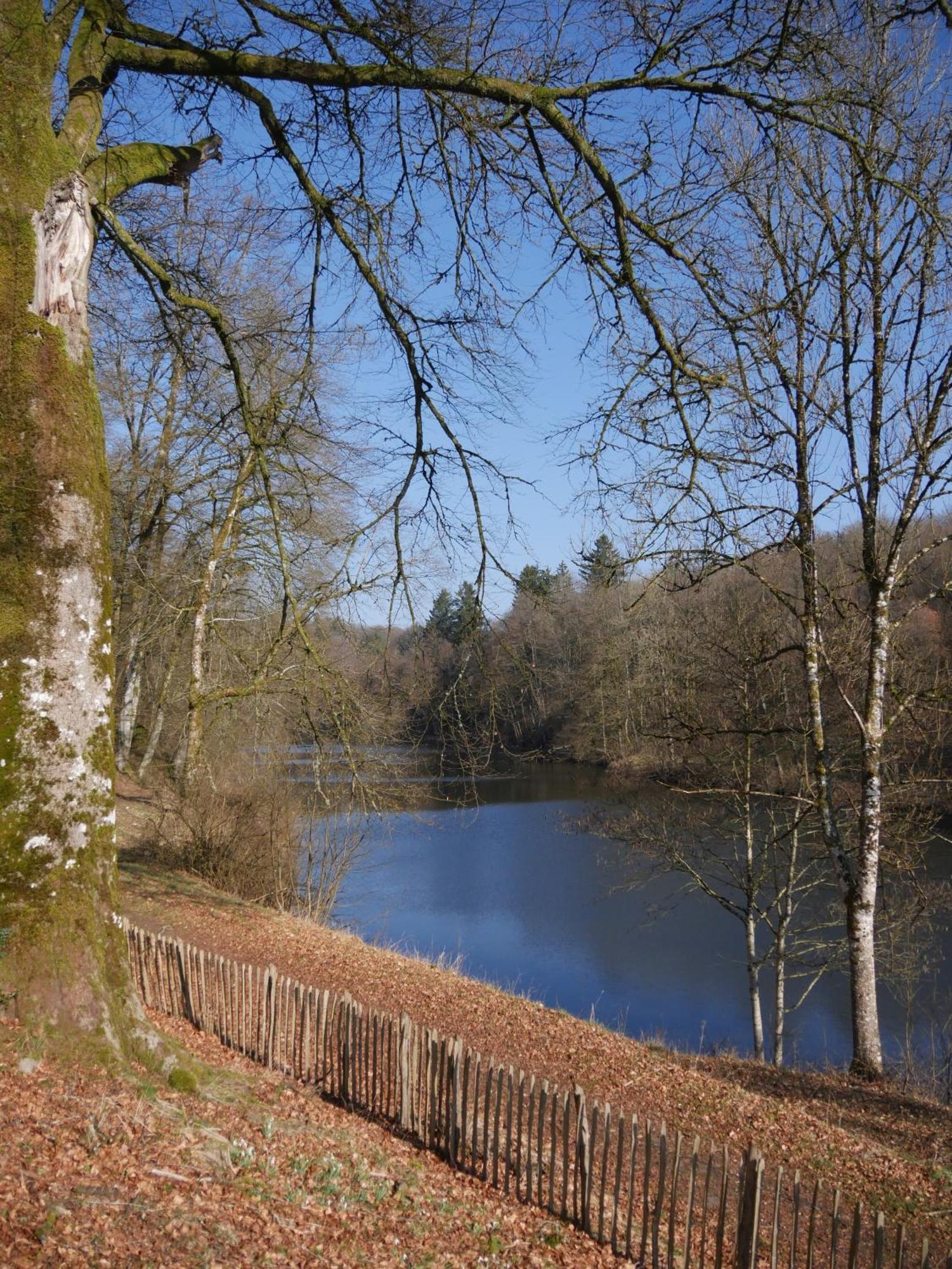 Chateau Du Pont D'Oye Habay-la-Neuve Экстерьер фото